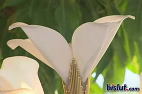Velamma مترجم الجزء الخامس