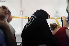 صوركس لبان