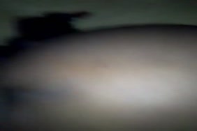 ارشيف قصص سكس محارم بورنو الامهات
