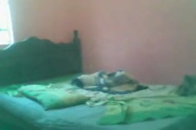 سكس فئات 14