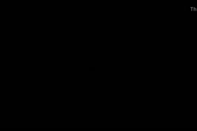 سكس امريكي عجيز