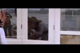 سكس البنات فيديو
