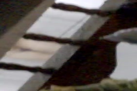 Xnxx سكس اسرائيل