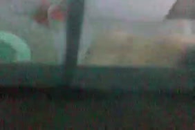 سكس رجال شواذ اليمن