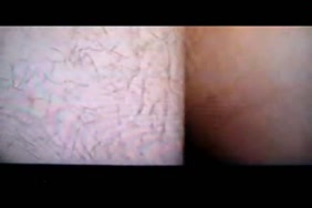 سكس عايلي فرنسي هامستر