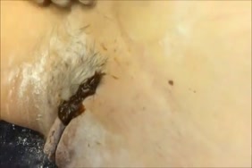 سكس.حيوانات.خيول