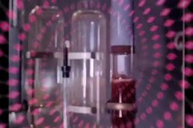 سكس نيك اجمل كس روسي