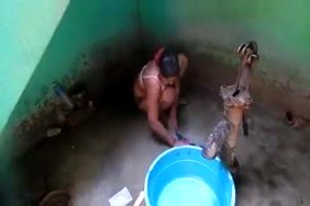 قرد مع رجل سكس