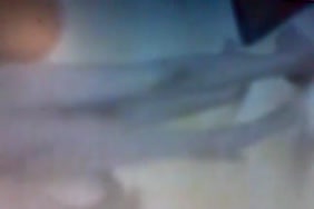 Xnxxام وابنها الكس مترجم